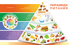 Стенд в столовую Пирамида питания, 1100х750 мм