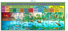 Стенд Эволюция растительного и животного мира, 1,6х0,7 м