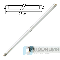 Лампа люминесцентная PHILIPS TL-D 18W/54-765, 18 Вт, цоколь G13, в виде трубки 59 см, холодный дневной свет