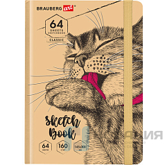 Скетчбук, белая бумага 160 г/м, 145х203 мм, 64 л., резинка, твердый, BRAUBERG ART CLASSIC "Это Кот", 114589