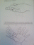 http://185.32.58.216/d/383128/d/logo-0204.gif