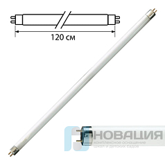 Лампа люминесцентная PHILIPS TL-D 36W/54-765, 36 Вт, цоколь G13, в виде трубки 120 см, холодный дневной свет, 815849