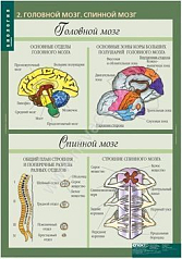http://novacia72.ru/d/383128/d/bio-008(1).jpg; http://novacia72.ru/d/383128/d/bio-008(2).jpg; http://novacia72.ru/d/383128/d/bio-008(3).jpg; http://novacia72.ru/d/383128/d/bio-008(4).jpg; http://novacia72.ru/d/383128/d/bio-008(5).jpg; http://novacia72.ru/