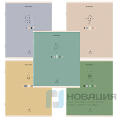 Тетрадь А5 48л. BRAUBERG скоба, клетка, обложка картон, ДИЗАЙН_1, код_1С, 404359